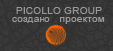 PicolloGroup